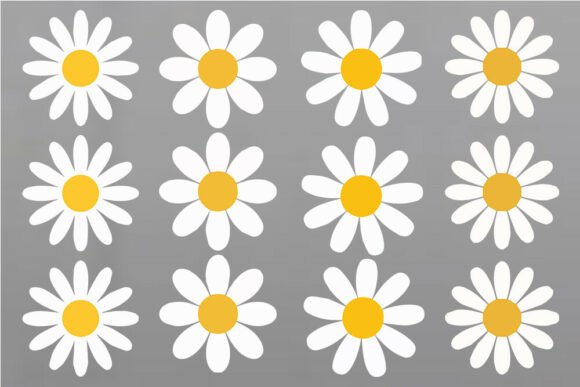 Download Daisy Flower SVG Bundle, Color Daisy SVG - Bundle Collection