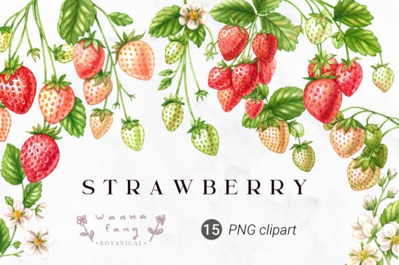 Download Strawberry Fruit Watercolor Clipart, PNG - Berry Collection