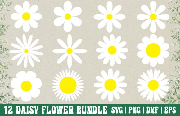 Download Daisy Flower SVG Bundle - Daisy PNG - Bundle Collection